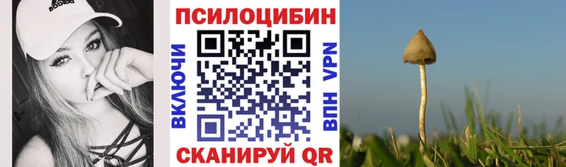 как найти наркотики  Магнитогорск  omg маркетплейс  Псилоцибиновые грибы мухоморы 